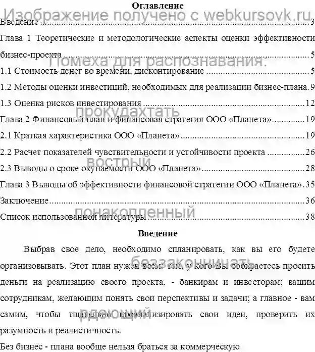 Курсовая Эффективность бизнес-проекта ООО «Планета» страница №1