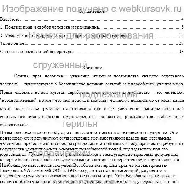 Реферат защита прав человека страница №1