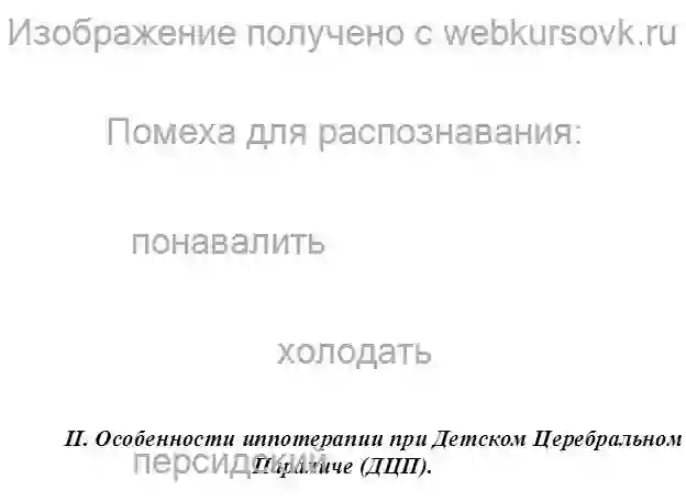 Курсовик Реабилитация детей-инвалидов.Особенности иппотерапии при Детском  Церебральном Параличе (ДЦП) страница №13