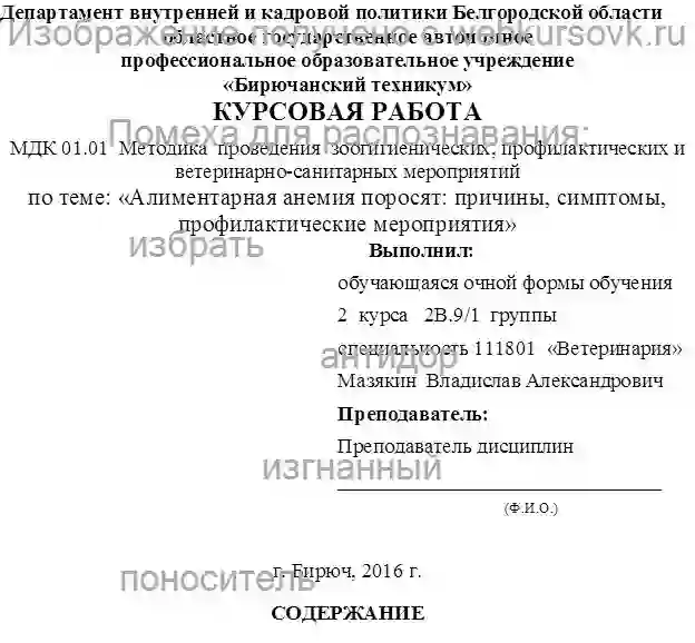 Курсовик «Алиментарная анемия поросят: причины, симптомы, профилактические мероприятия» страница №1