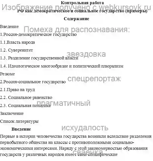 Контрольная РФ как демократическое и социальное государство  страница №1