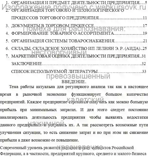 Отчет о практике Разработка рекомендаций по улучшению деятельности ИП Леоняна Э. Р. страница №2