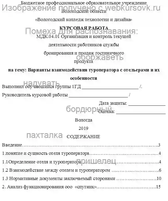 Курсовик Варианты взаимодействия туроператора с отельерами и их особенности на примере ООО «Спутник» страница №1