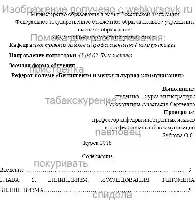 Реферат Билингвизм и межкультурная коммуникация страница №1