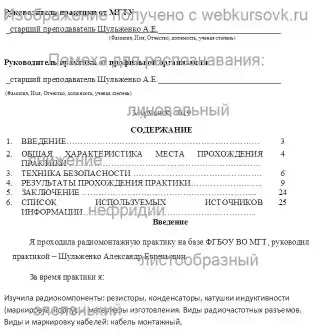 ОТЧЁТ ПО ПРАКТИКЕ Радиомонтажная практика. Мультивибратор. страница №2