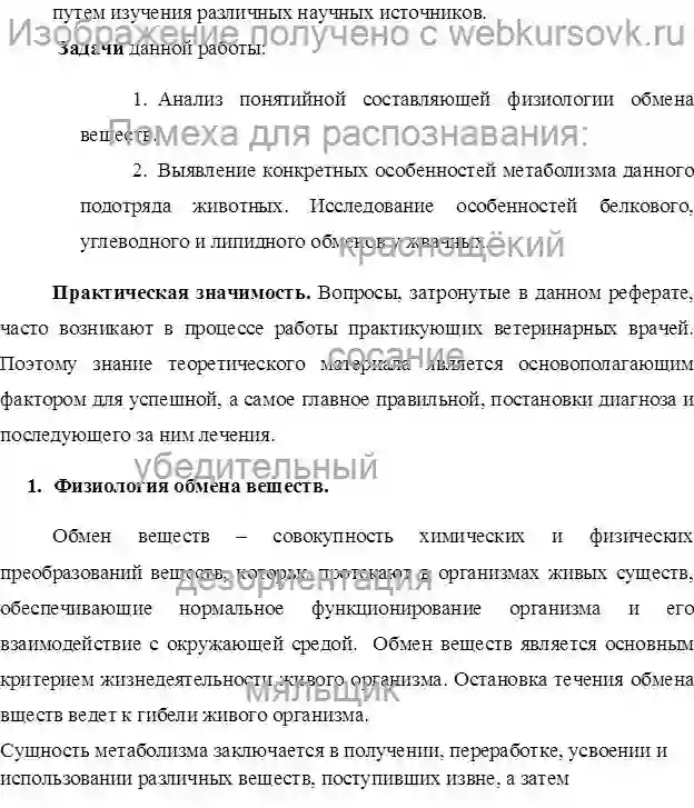 Реферат Особенности обмена веществ жвачных животных страница №2