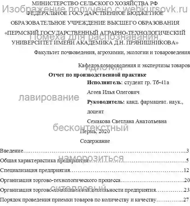 Отчет по практике в  «METRO cash & carry» в городе Пермь. страница №1