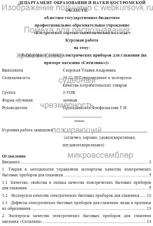 Курсовик Экспертиза и оценка электрических приборов для глажения на примере магазина Ситилинк страница №1