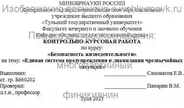 Курсовик Единая система предупреждения и ликвидации чрезвычайных ситуаций и ее совершенствование страница №1