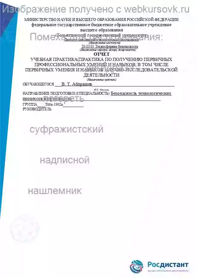 Отчет по практике Ознакомительная учебная практика. Безопасность технологических процессов и производств. страница №1