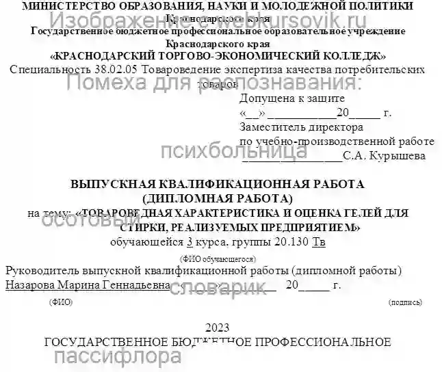 Диплом Товароведная характеристика и оценка гелей для стирки, реализуемых в магазине ООО «Магнит-Косметик» страница №1