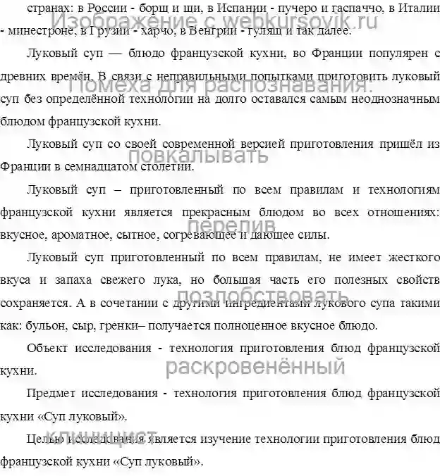Курсовик Технологии приготовления национальных блюд французской кухни суп луковый страница №2