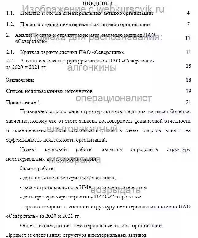Курсовик Определение структуры нематериальных активов предприятия ПАО «Северсталь» страница №2