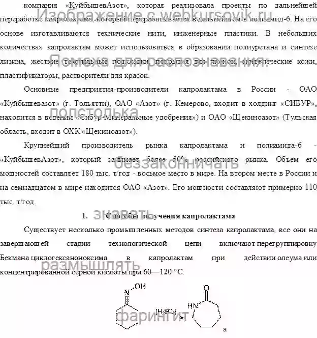 Реферат Утилизация отходов производства капролактама страница №2