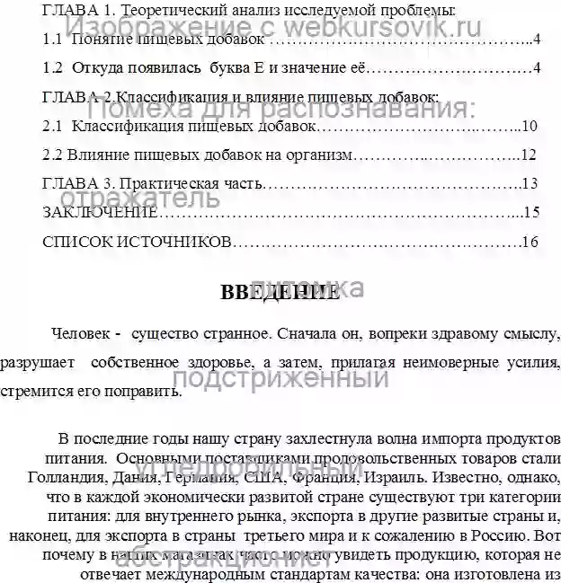 Курсовик Влияние пищевых добавок на организм страница №2