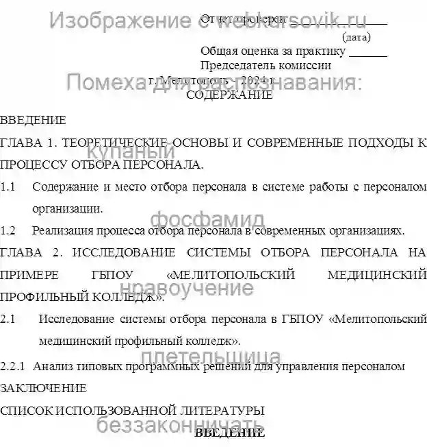 Отчет о практике Система отбора кадров на ГБПОУ Мелитопольский медицинский профильный колледж страница №2