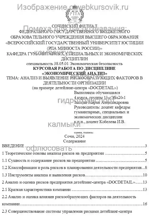 Курсовик Анализ и выявление рискообразующих факторов в деятельности оргнизации детейлинг-центра «DOCDETAIL» страница №1