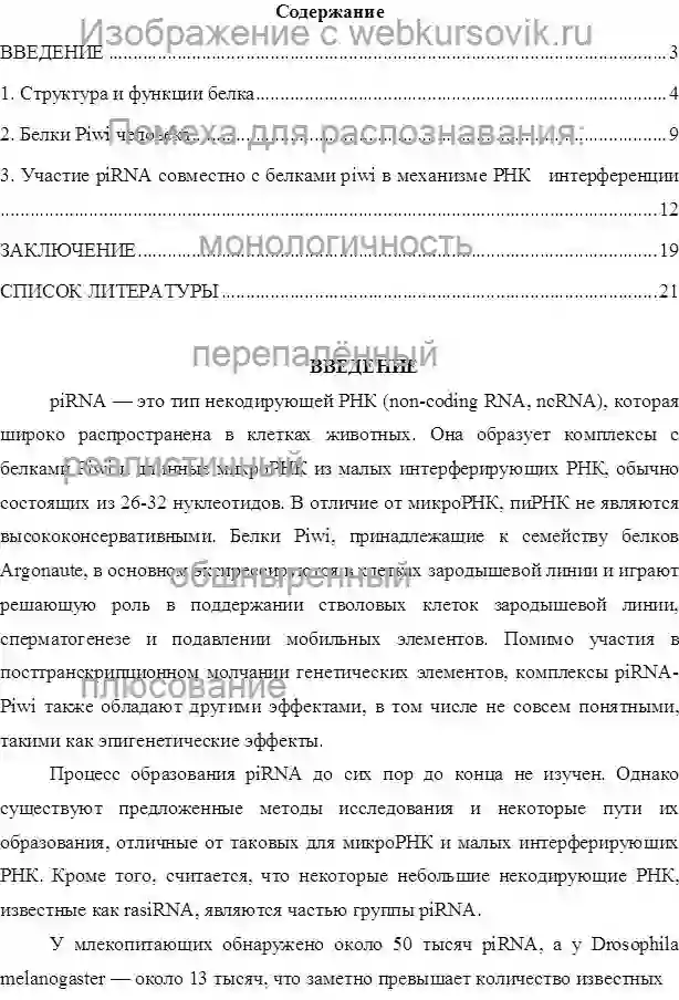 Реферат Тема: Белок Piwi, его роль и функции.Дата изготовления: март 2024 года. Учебное заведение: неизвестно. страница №1