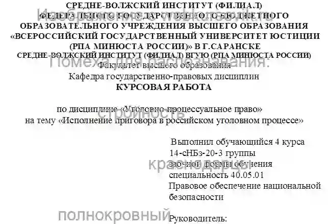 Курсовик Исполнение приговора в российском уголовном процессе страница №1